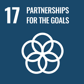 UN Strategic Goal 17